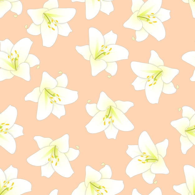 White Lily on Orange Peach Background