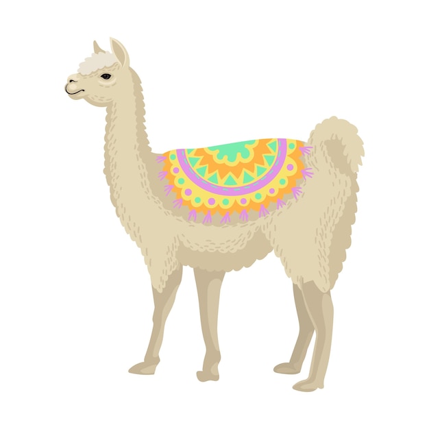 White llama alpaca animal wearing bright ornamented poncho side view vector Illustration on a white background