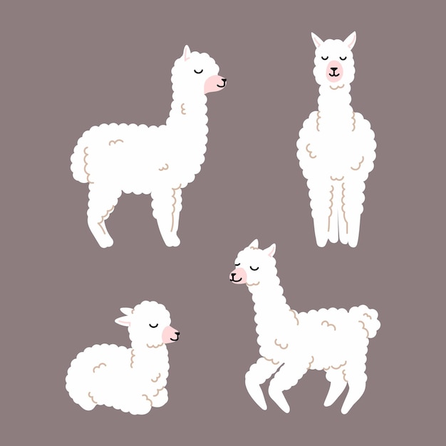 Vector white llama alpaca collection cute illustration and design for nursery design poster