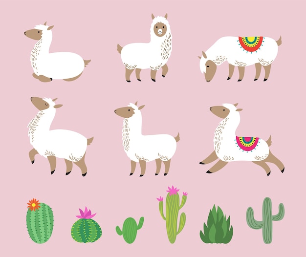 Набор белых лам. симпатичная альпака, мультяшная шерсть диких животных южной америки. детские персонажи лам и векторная иллюстрация кактуса. альпака америка и зеленый кактус, графический лама животных