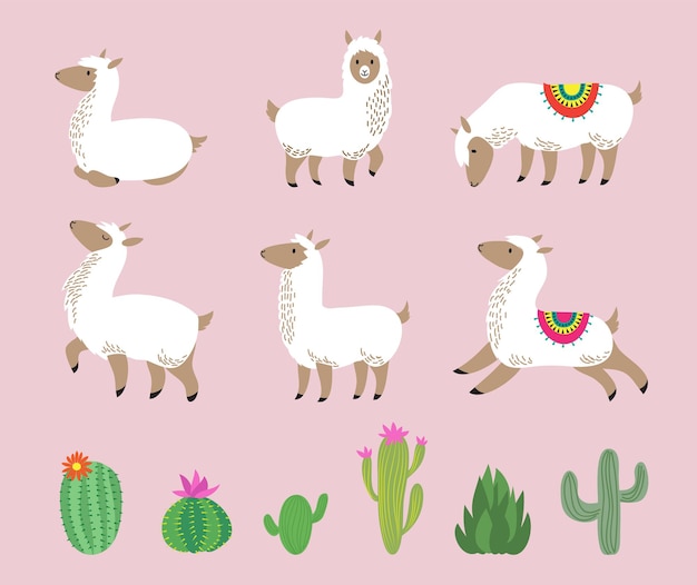 Vettore insieme del lama bianco. alpaca sveglio, animali selvaggi del sudamerica della lana dei cartoni animati caratteri infantili dei lama e illustrazione di vettore del cactus. alpaca america e cactus verde, lama animale grafico