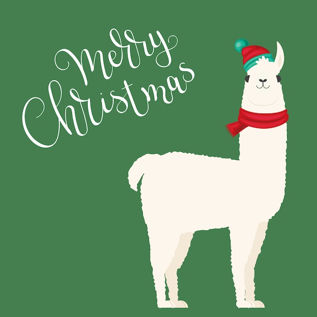 Vector white llama in winter hat and scarf