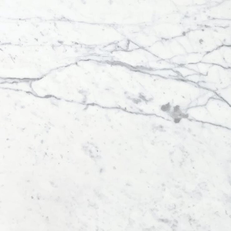 Vector a white marble counter top with a bird on it