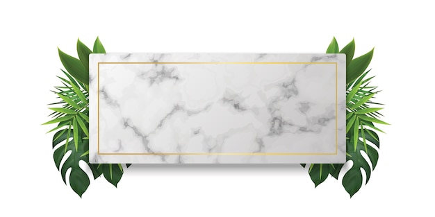 White marble showcase podium with shadow leaves