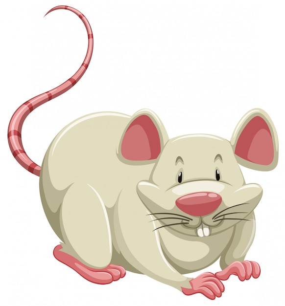 Vector white mouse