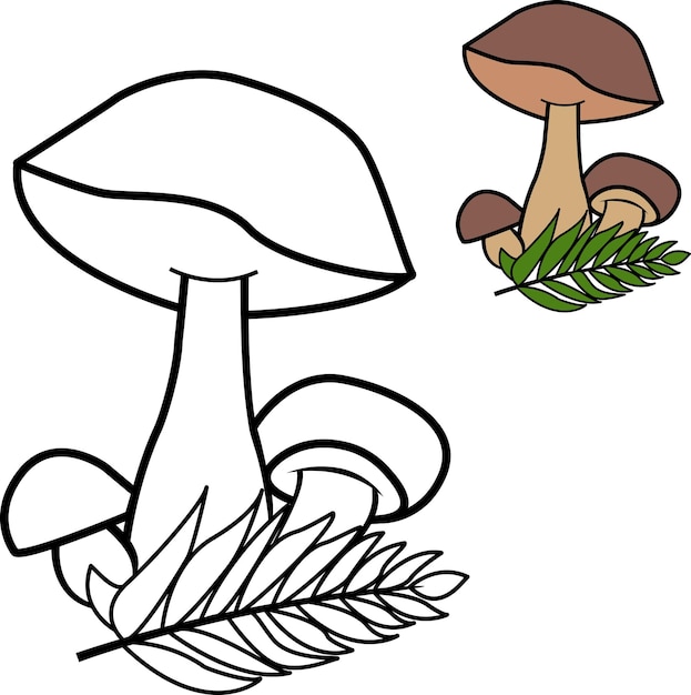 White mushrooms for kid's coloring book