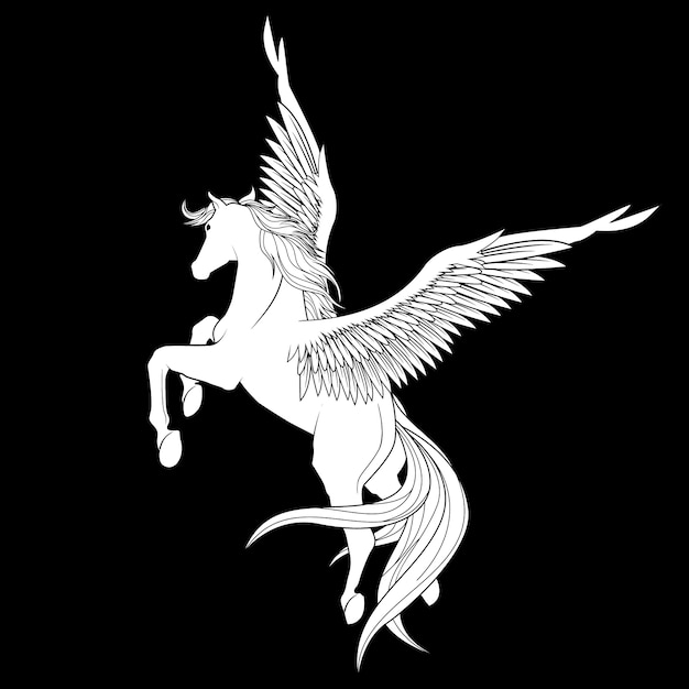 Vector white pegasus  illustration