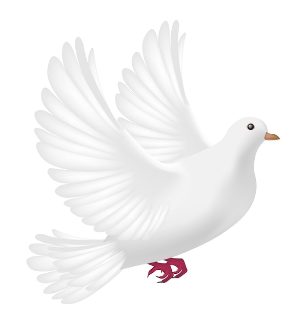 Vector white pigeon bird sending white envelope letter