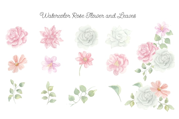 Vector white and pink rose watercolor flower and leaves clip art