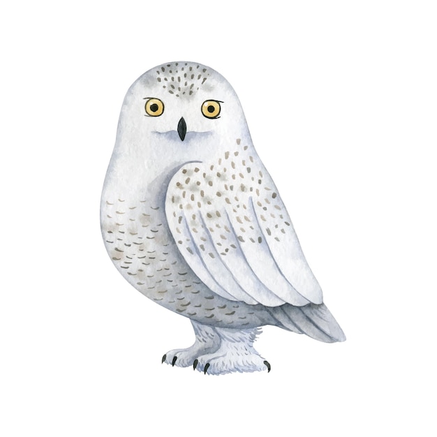 Harry Potter Movies Hedwig Owl Sitting on Books Enamel Metal Pin | eBay