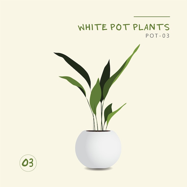 Vector white pot plants set