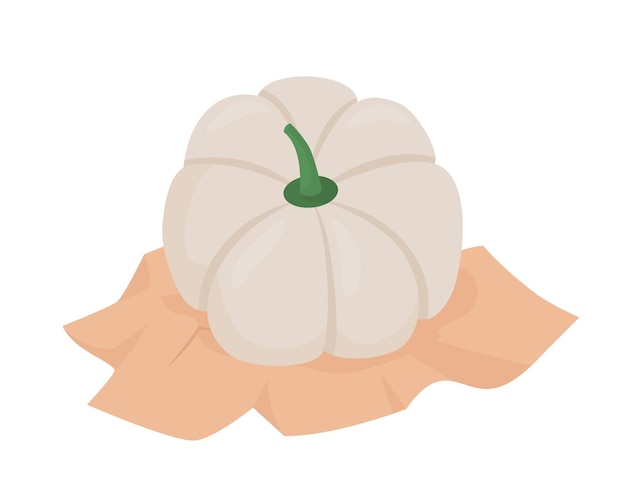 White pumpkin semi flat color vector object