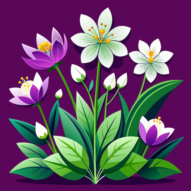 Vector white and purple flowers vector illustration