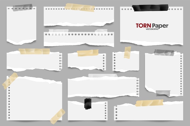 ベクトル 白い切れた紙のストリップのコレクション 切れたと粘着テープの現実的な紙のスクラップ
