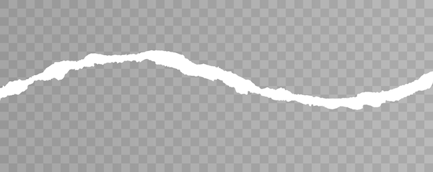 ベクトル 白い破れた紙は、透明な背景にリアルな破れた紙をストリップしますシームレスな水平方向のベクトル図