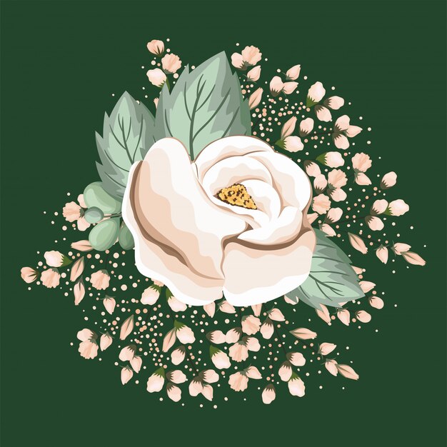 Vector white rose flower with leaves painting design, natural floral nature plant ornament garden decoration and botany theme illustration