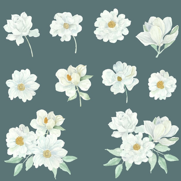 White Rose and Peony Watercolor Flower Clipart