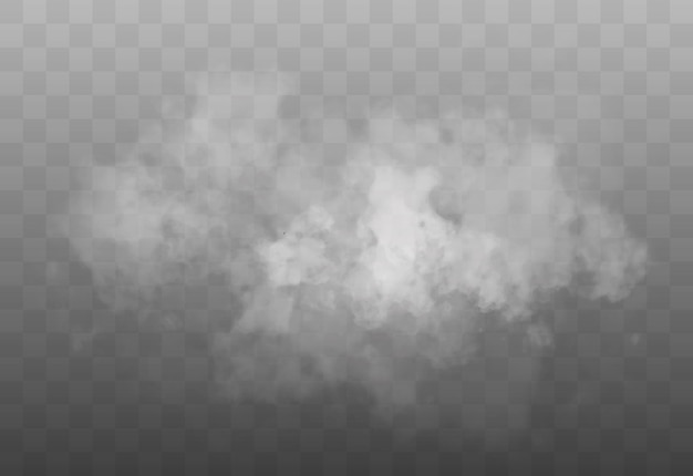 White smoke cloud isolated on transparent background vector smoke or fog