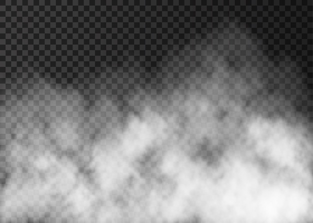 White smoke texture isolated on transparent background.  Steam special effect.  Realistic  vector   fog  or mist.