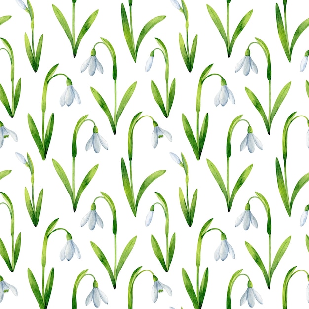 White snowdrops seamless pattern isolated on white background watercolor spring floral illustration