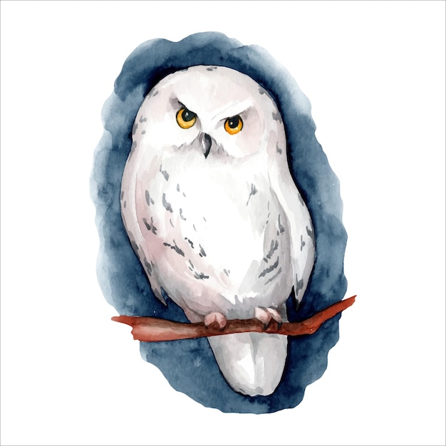 White snowy owl Watercolor illustration