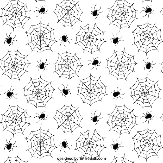 Vector white spider web pattern