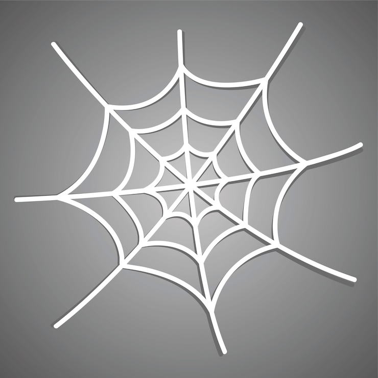 Vector white spiderweb icon with shadow