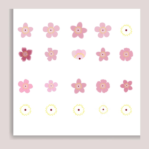 A white square with a pink flower with a yellow sun in the middle cheery blossom