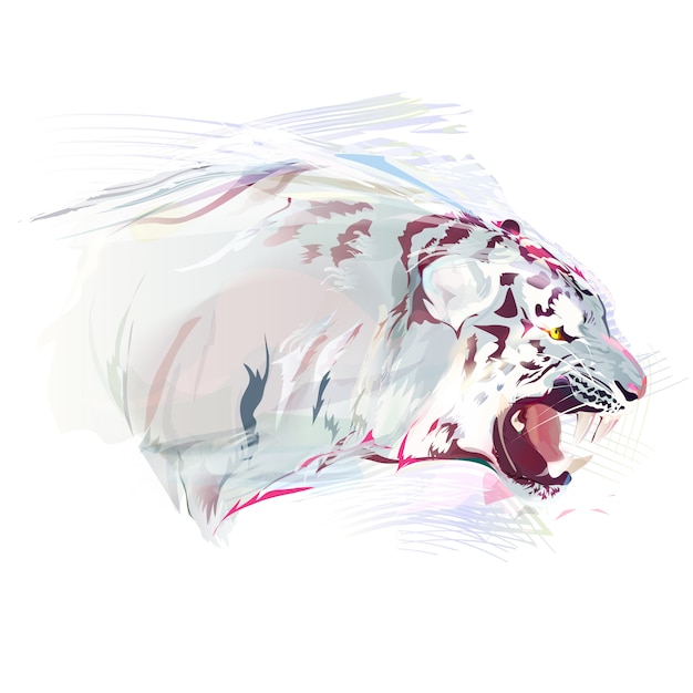 Vector white tiger, watercolor illustration