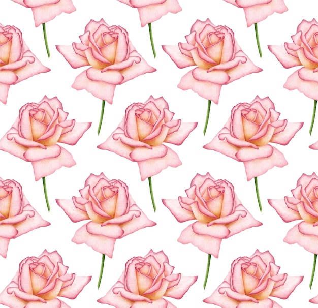 咲くデジタル水彩画のピンクのバラと白いベクトルのシームレスな背景