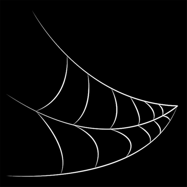 Vector white vector spider web on black background for halloween party