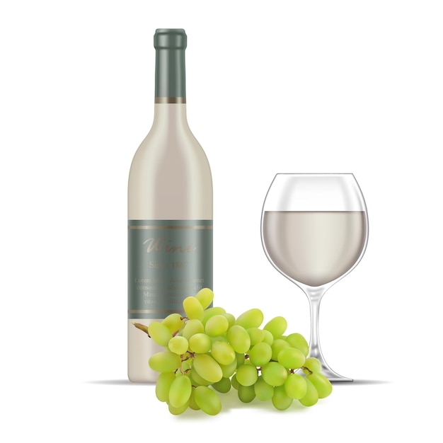 Vector white wine and grapes