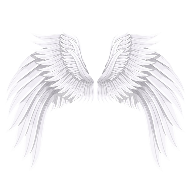 White wings of Angel or bird , vector illustration.