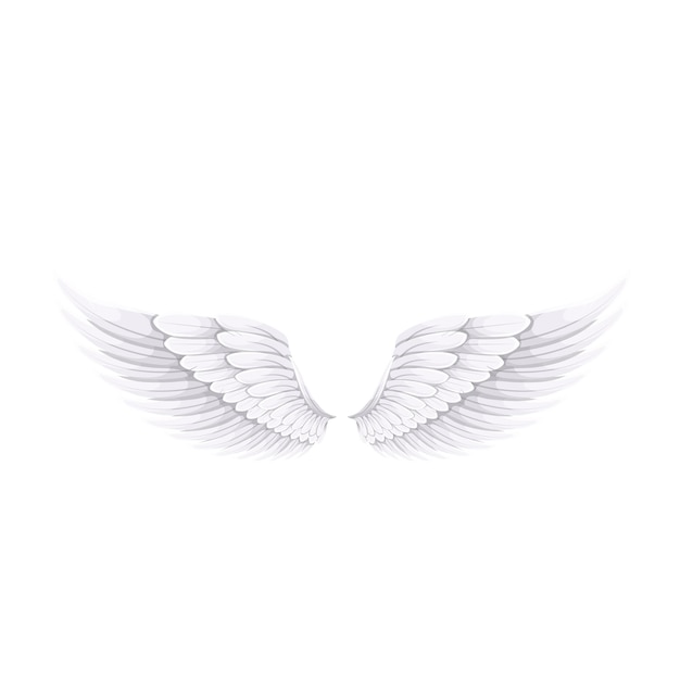 Vector white wings of angel or bird