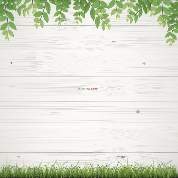 White wood texture background with framing of green leaves. Vector illustration.