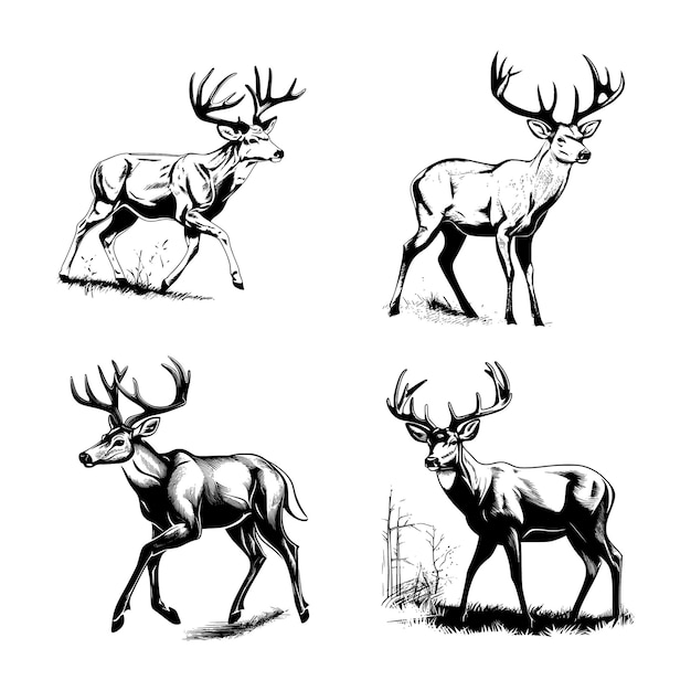 Whitetail Buck 동적 포즈 흰색 배경에 간단한 그래픽 만화 벡터 아트 스티커 검정