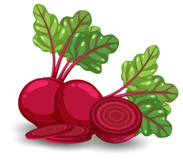 Whole beetroot and sliced on white background