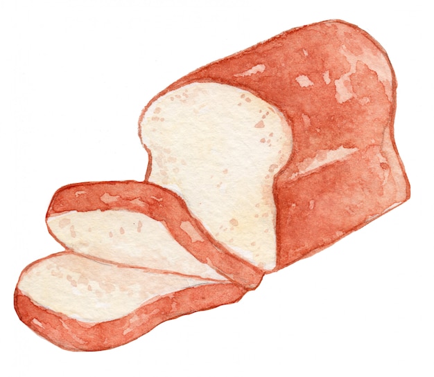 Vector whole bread watercolor illustration