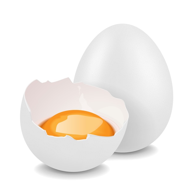 Whole chicken egg and broken egg with yolk. Realistic 