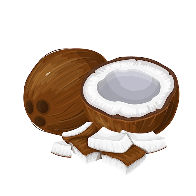 Whole Coconut, Half and Pieces of coconut vector illustration.