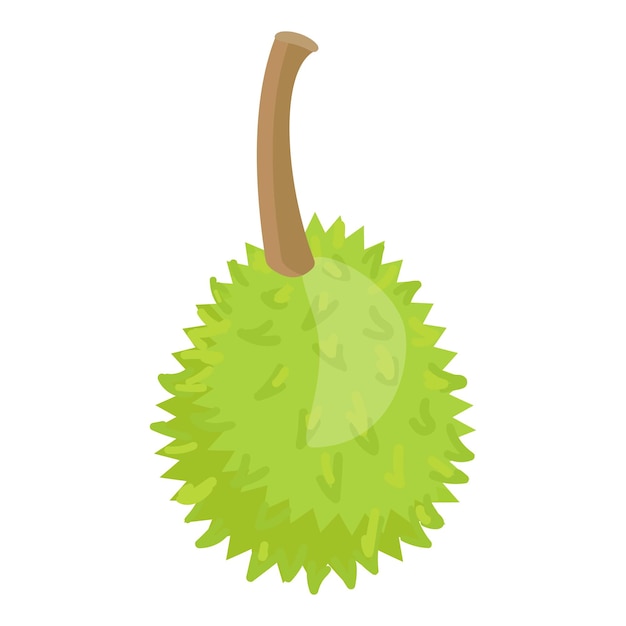 Whole durian icon cartoon vector Sweet fruit Nature food