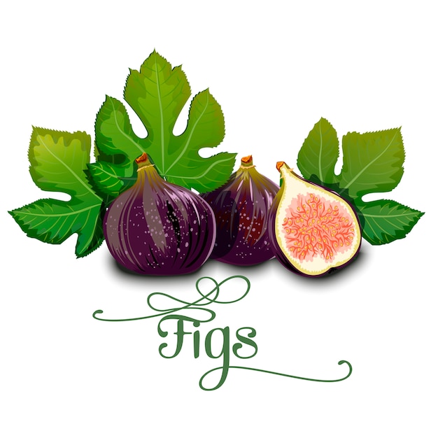 Vector whole figs with slice and leaf