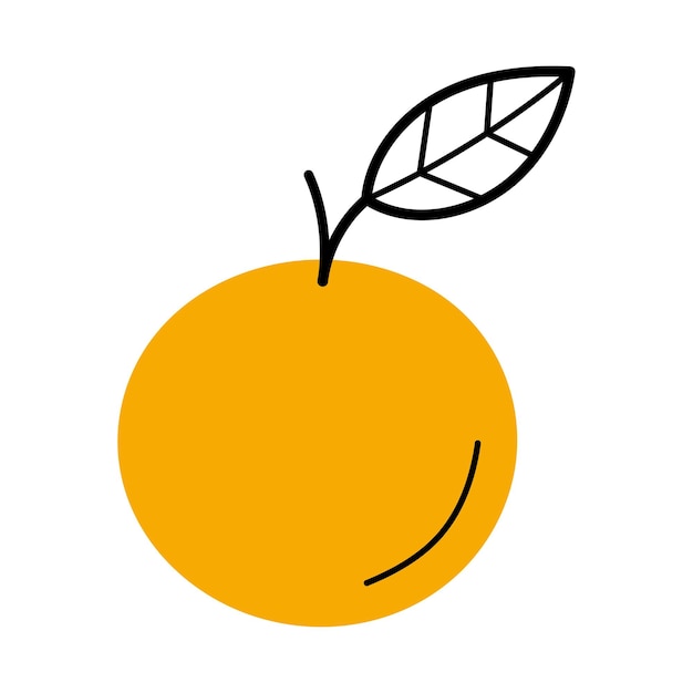 Vector whole fresh orange with twig and leaf citrus fruit in doodle line style