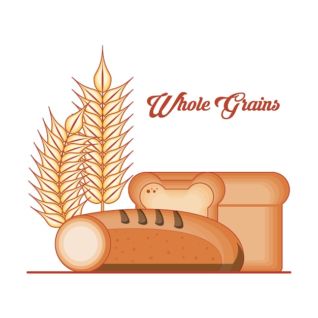 Vector whole grains products food vector illustration design