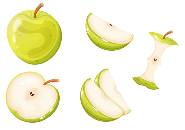 Whole green apple and different apple slices