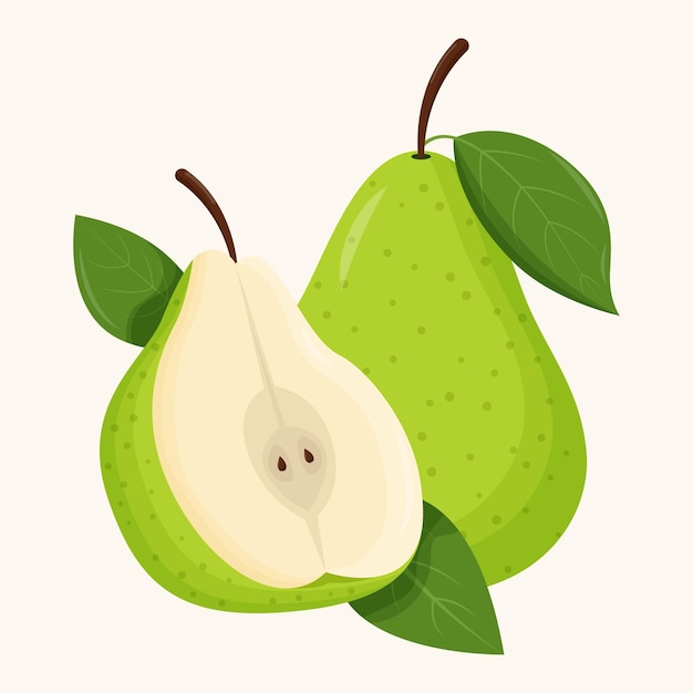 Whole green pear with green leaf isolated on white background Flat vector illustration