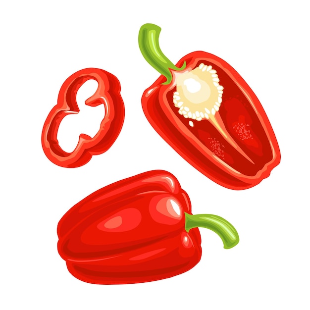 Whole half and slice red sweet bell pepper vector color realistic illustration for menu poster l