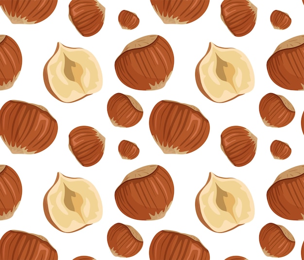 Vector whole and halved hazelnuts