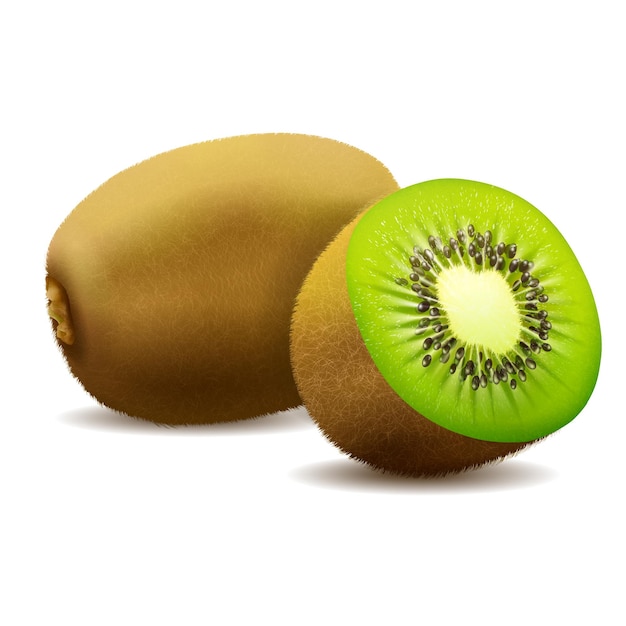 Whole juicy kiwi and half green kiwi, kiwi cut with shadow on white background vector realistic