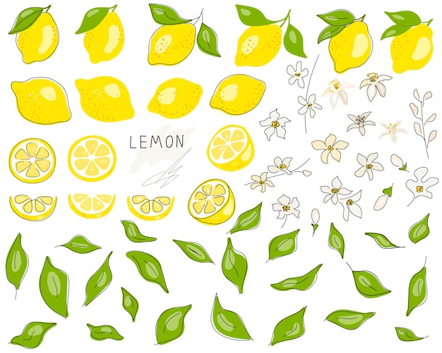 白い背景に分離された半分のスライスのクリッピングパスにカットされたレモン全体新鮮な果物の柑橘類を設定します